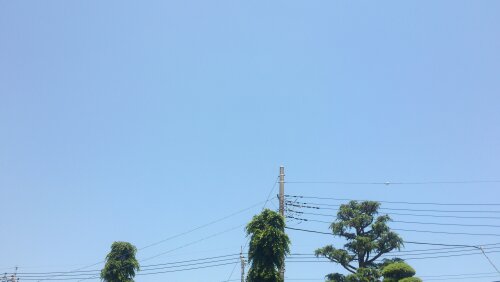 カルディナフロントガラス交換
